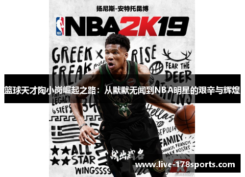 篮球天才陶小岗崛起之路：从默默无闻到NBA明星的艰辛与辉煌